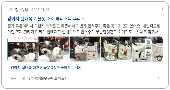 강아지 실내복_3_subsection