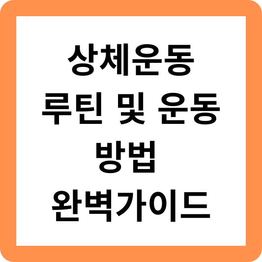 상체운동 루틴 완벽 가이드 홈트레이닝 헬스장 기구 상체근력운동