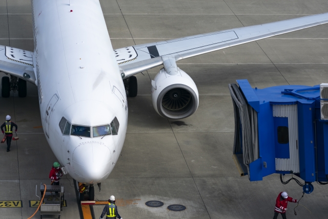 JAL(일본항공) 수하물(수화물) 규정 총정리(무료 위탁 수하물, 유모차, 악기, 골프백, 서핑 장비, 애완동물, 기내반입)