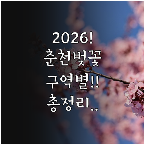 2026년 춘천 벚꽃 만개 시기 구역..