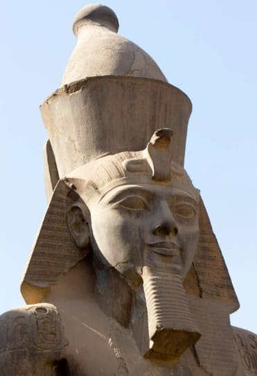 이집트 유적지에서 발굴된 2,000여 마리 양의 머리 VIDEO: 2,000 mummified ram heads found in temple in southern Egypt