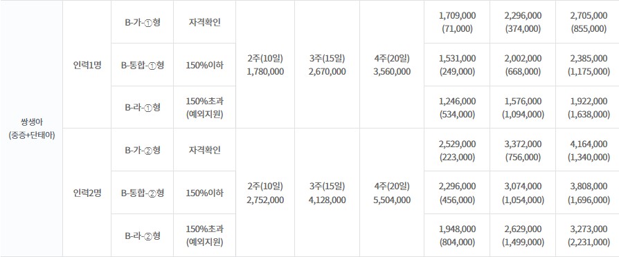 정부지원 산후도우미 쌍생아 서비스 금액