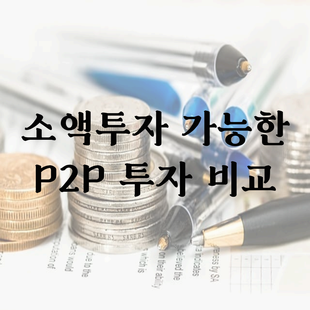 소액투자 가능한 P2P 투자 비교: 위험도와 수익률 분석