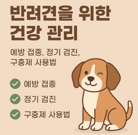 반려견을 위한 건강 관리에 관련한 이미지