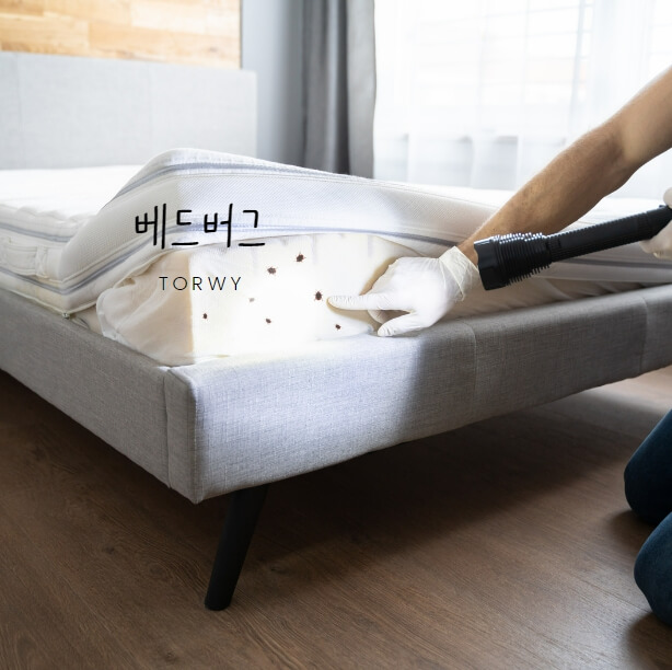 베드버그 증상