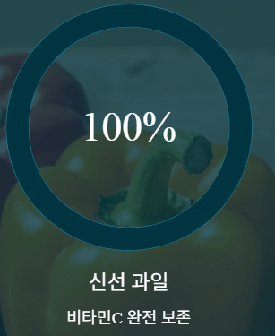 비타민c 하루권장량 