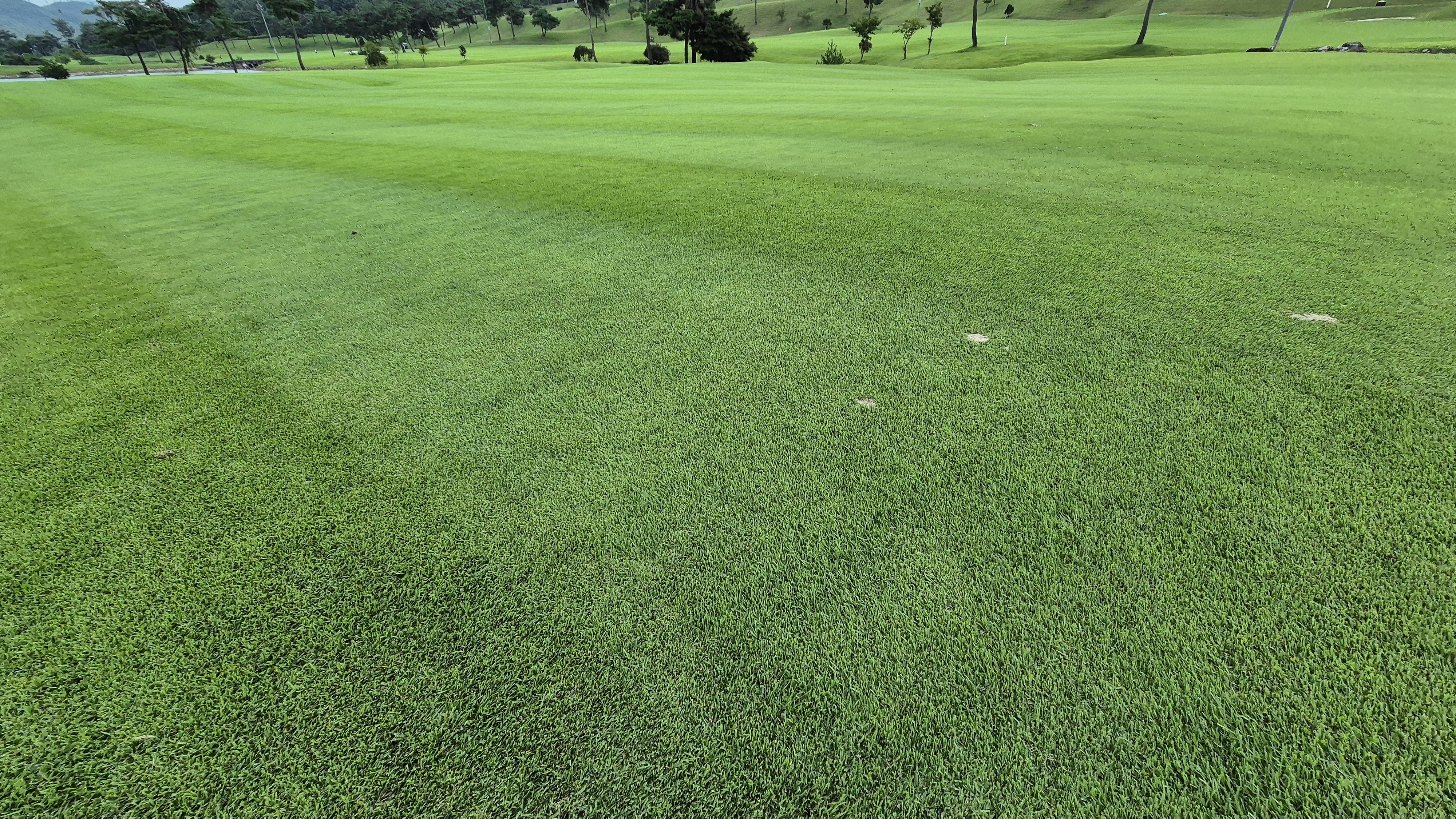 동원썬밸리cc 라운드 후기