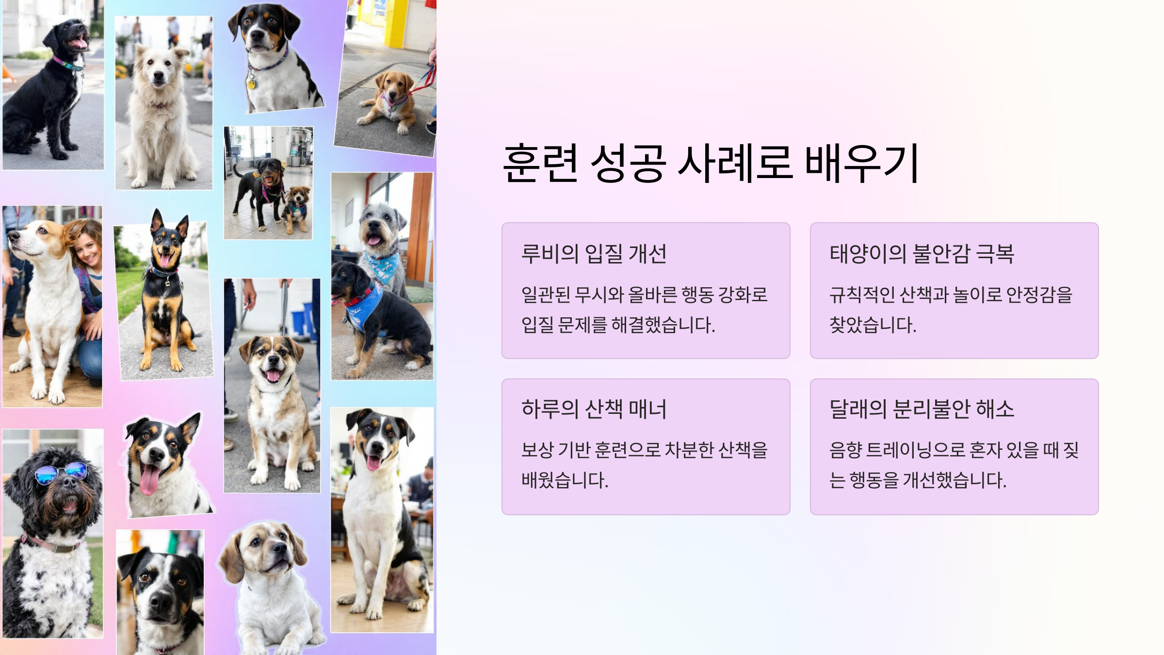 훈련 성공 사례로 배우기