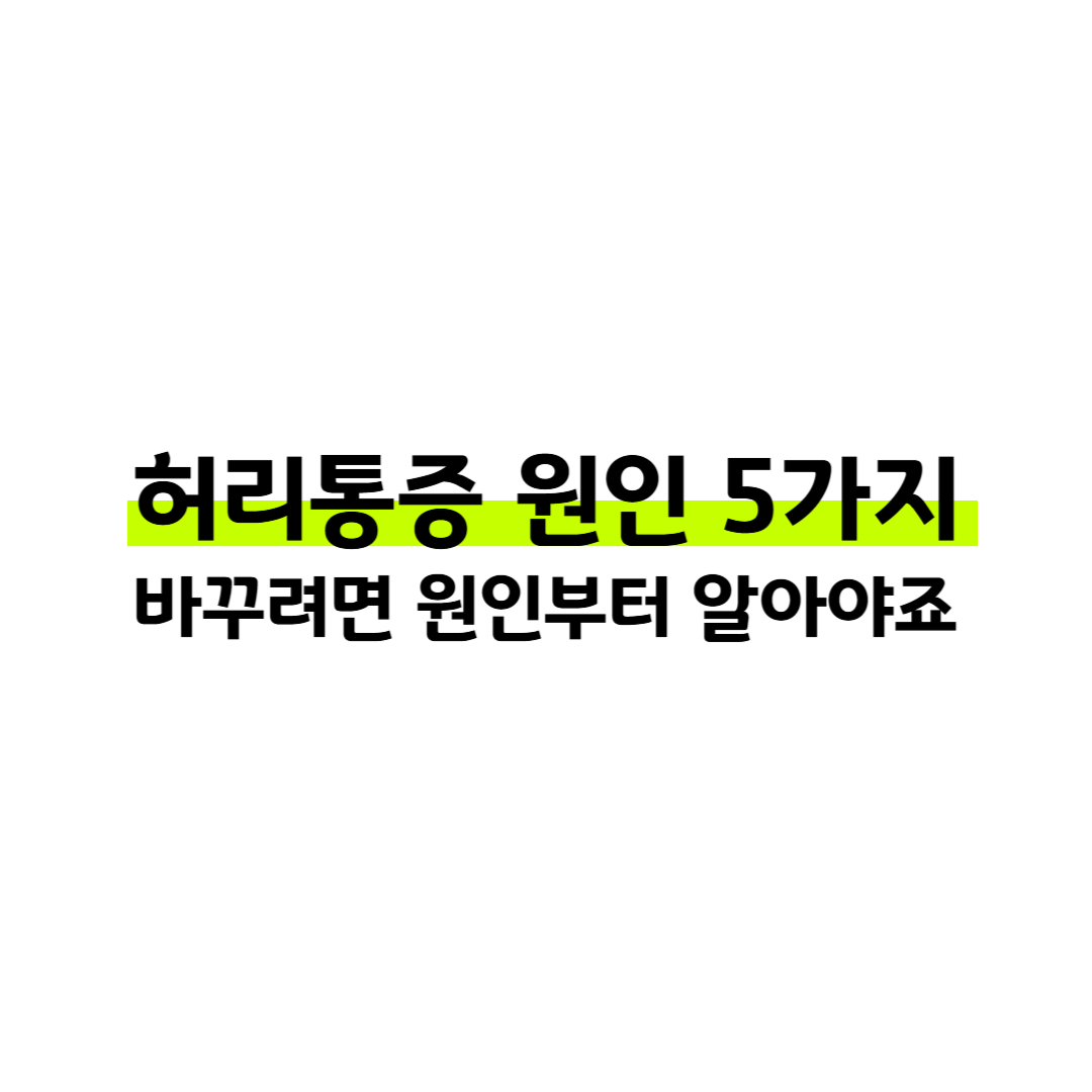 허리통증 원인 다섯 가지, 지금 시작할 수 있는 운동으로 해결해보세요 썸네일