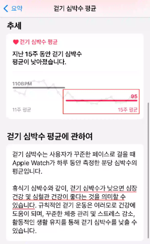 5개월 동안 운동한 효과