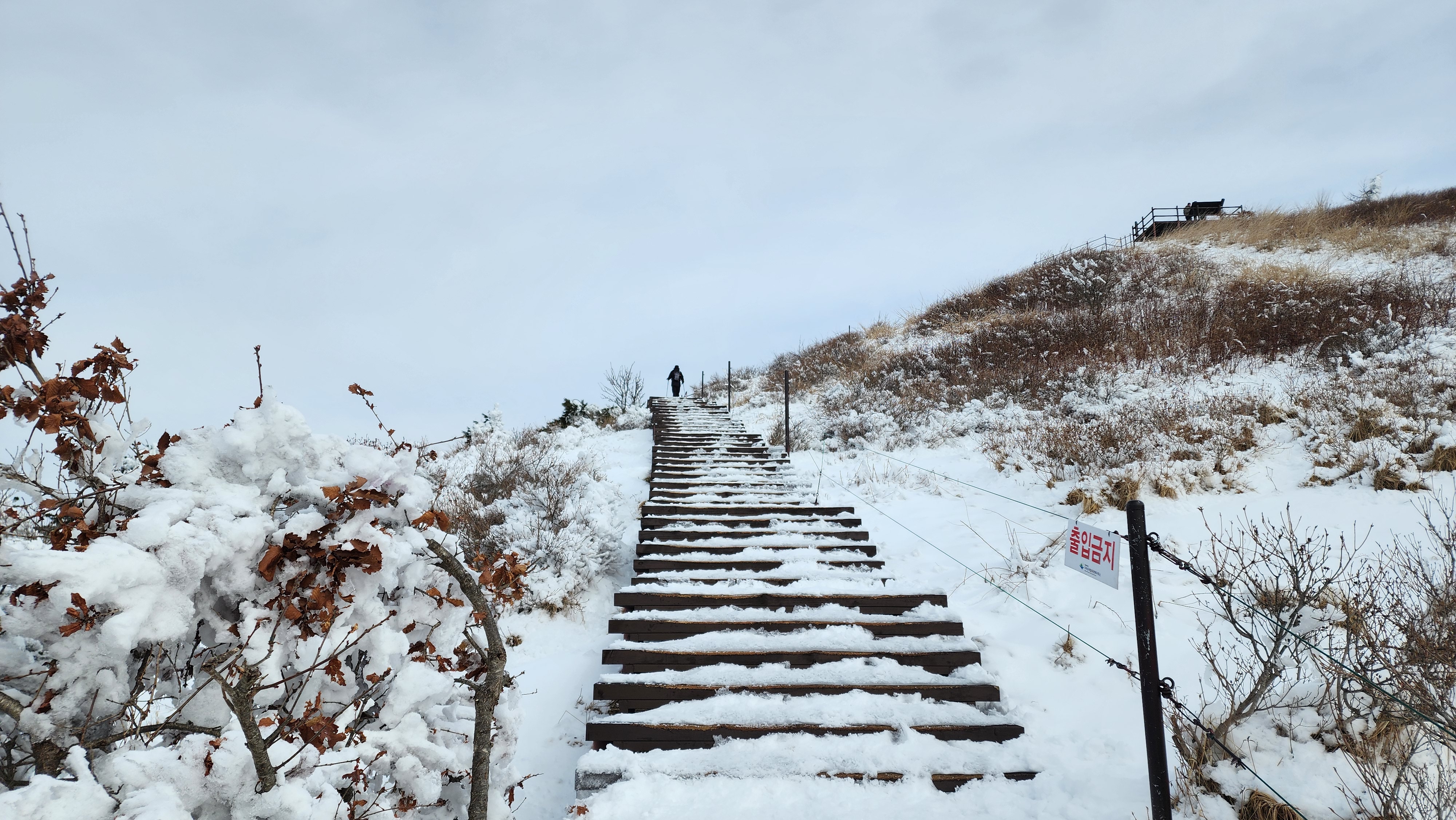 바래봉 정상 가는길