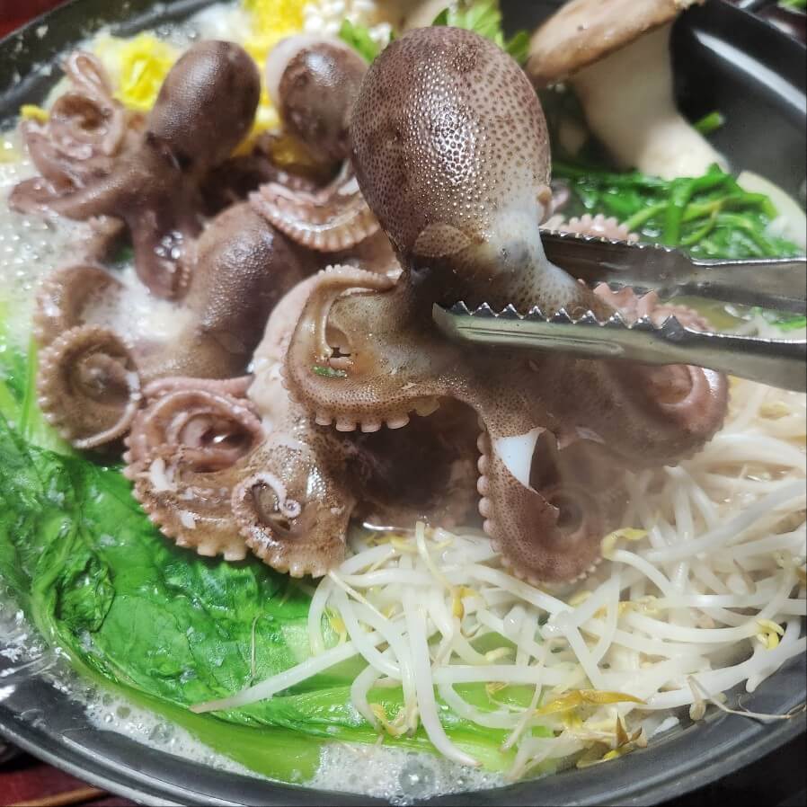 쭈꾸미 샤브샤브 재료 새조개 샤브샤브 재료 해물샤브샤브재료 샤브샤브 샤브샤브 육수 샤브샤브 소스 샤브샤브 고기 샤브샤브 육수 만들기 샤브샤브 소스 만들기 월남쌈 재료 샤브샤브 만들기 샤브샤브 야채 소고기 샤브샤브 샤브샤브 레시피 샤브샤브 국물 샤브샤브 재료 샤브샤브 재료 육수 된장소스 레몬폰즈소스까지~ 소고기 샤브샤브 재료 해물 샤브샤브 재료