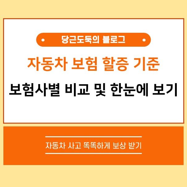 자동차 보험 할증 기준