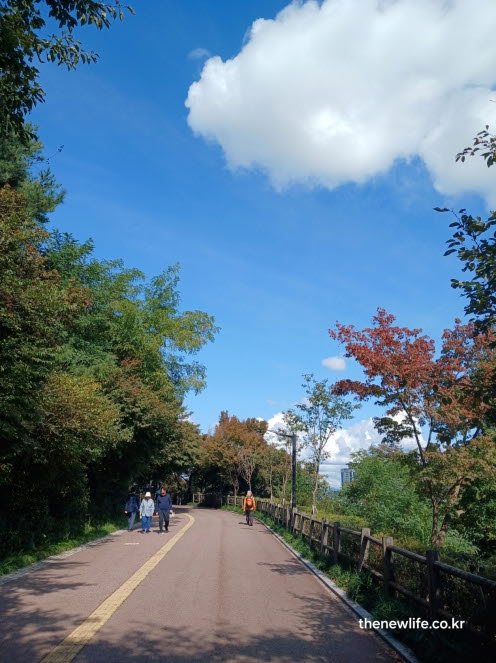 서울 단풍명소 남산 둘레길 가을 산책로 풍경