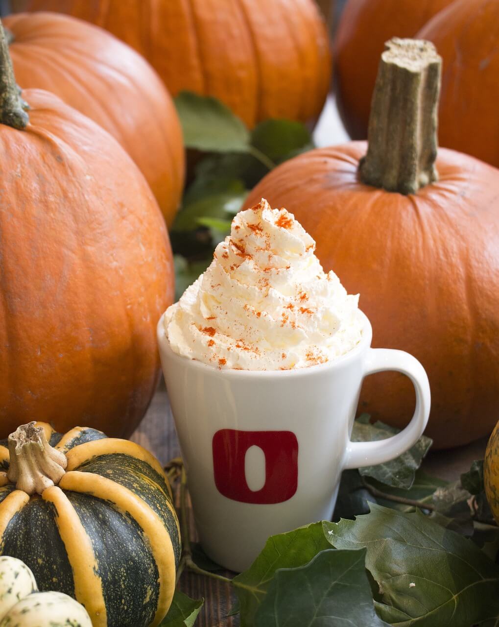 주거안정장학금 신청 혜택 조건 조회하기 월 20만원