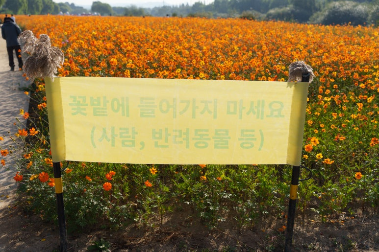 창릉천-강매석교공원-꽃밭에-들어가지-마세요