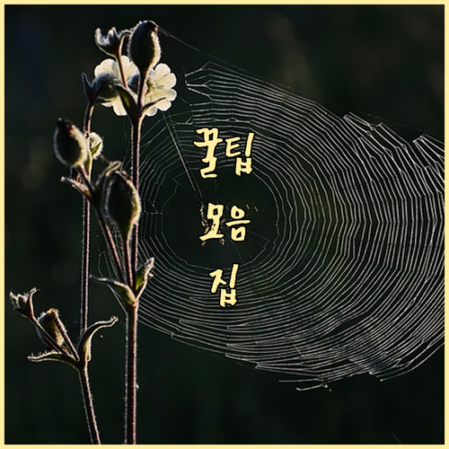 최대 70% 할인 올영세일 세럼 현명..