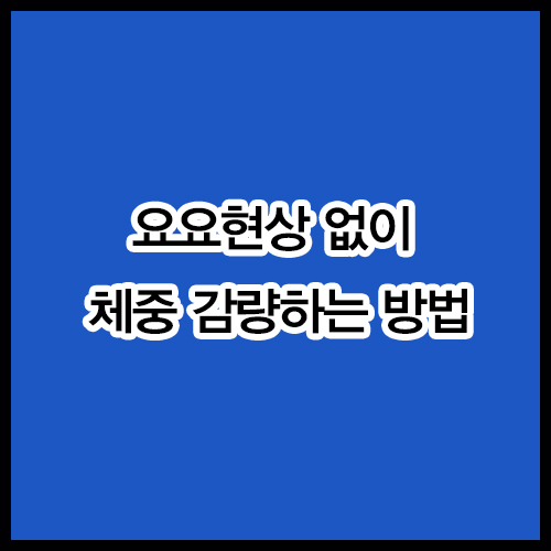 요요현상 없이 체중 감량하는 방법