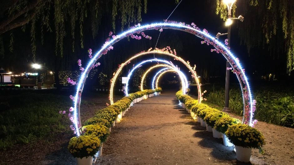 충남 꽃구경 부여 꽃축제 백제고도부여국화축제 기본정보