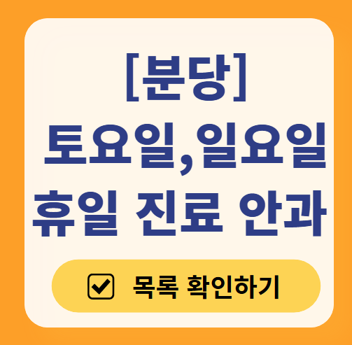 분당 일요일 문 여는 안과 목록 ❘ 토요일, 주말, 공휴일 진료 영업 병원 찾기