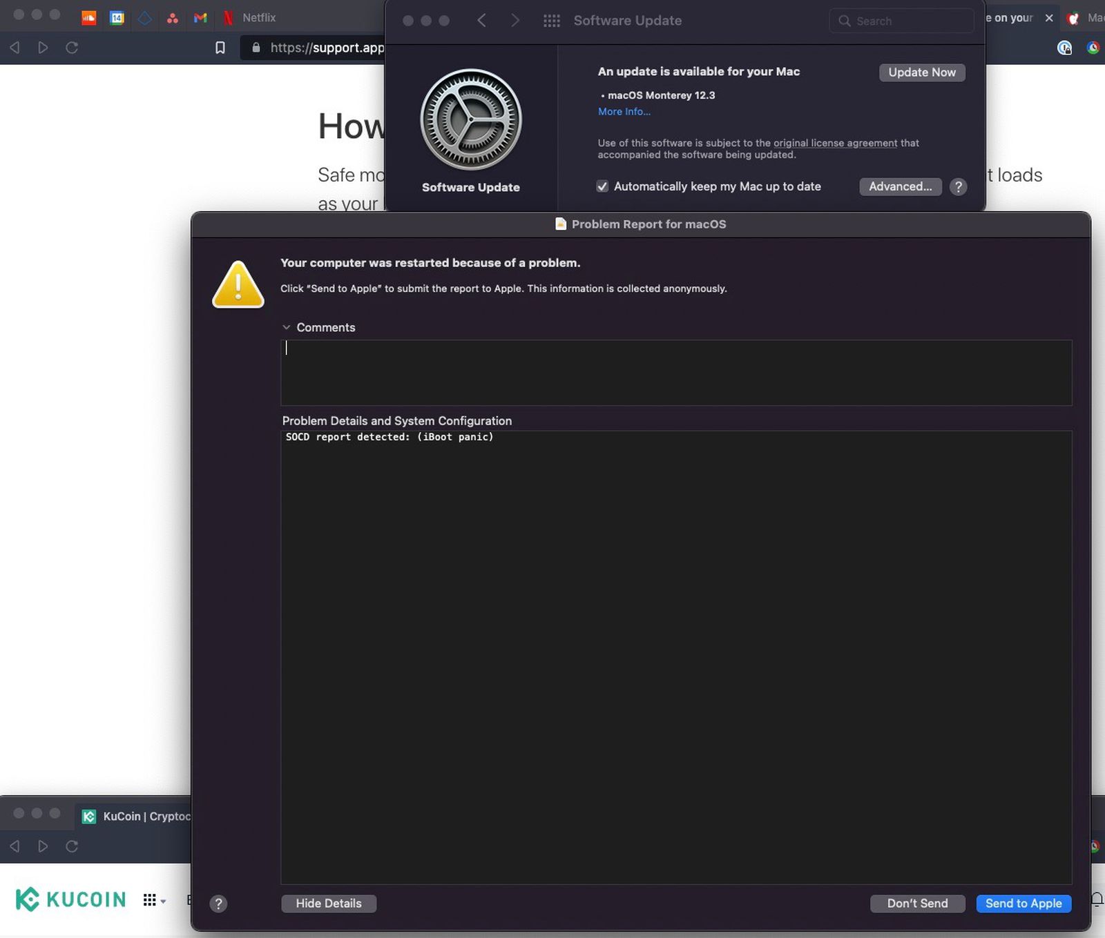 12.3업데이트 오류