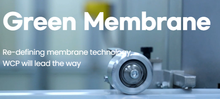 더블유씨피 주가전망