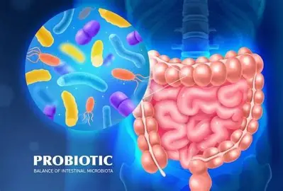 유산균의 효능