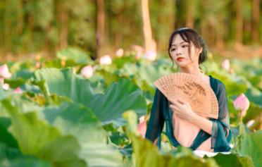 양평 두물머리 세미원 연꽃문화제