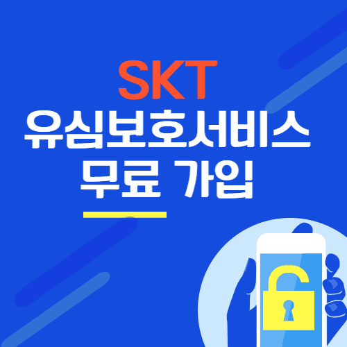 SKT 유심보호서비스