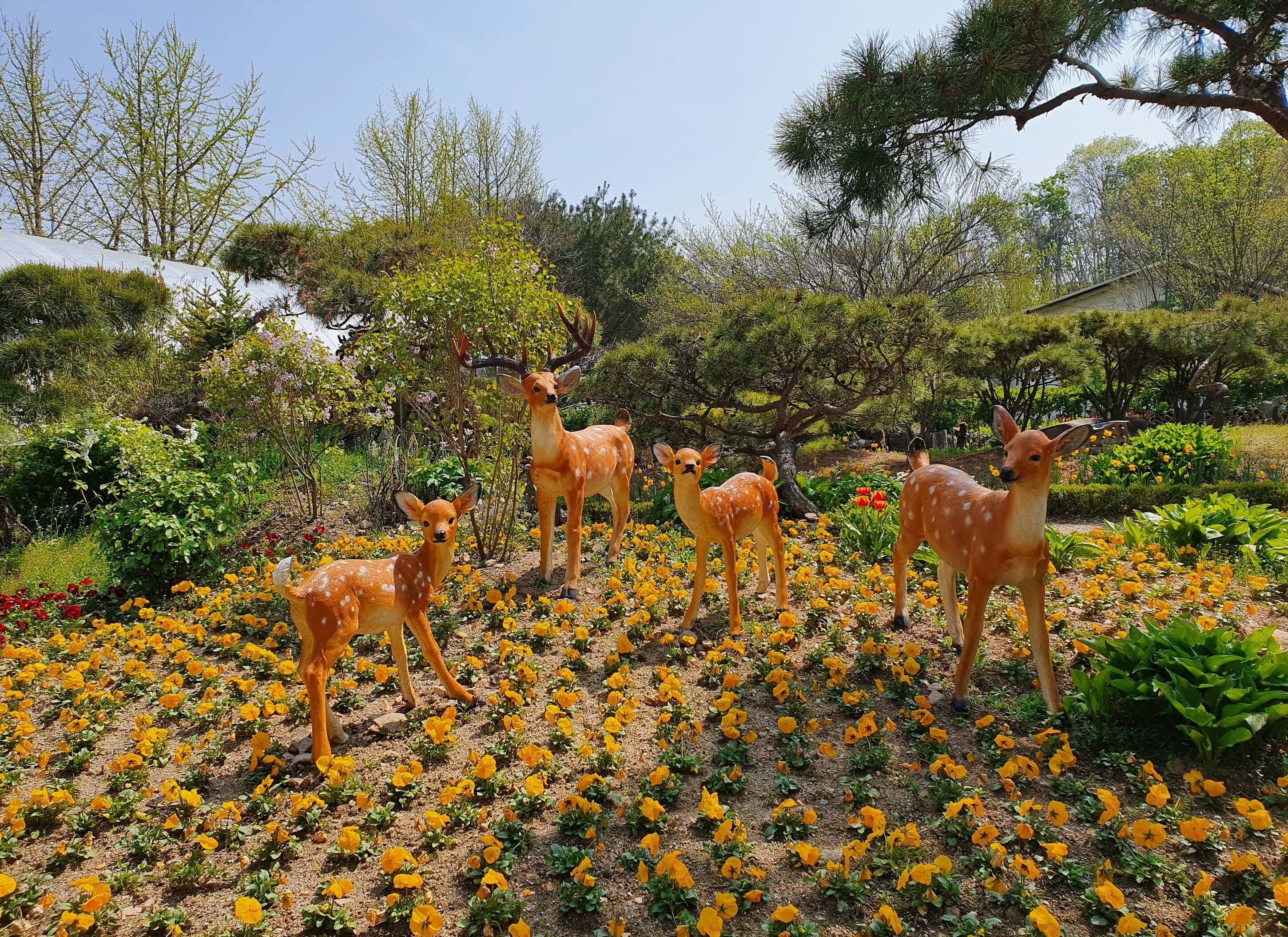 광주 율봄식물원 수국 축제