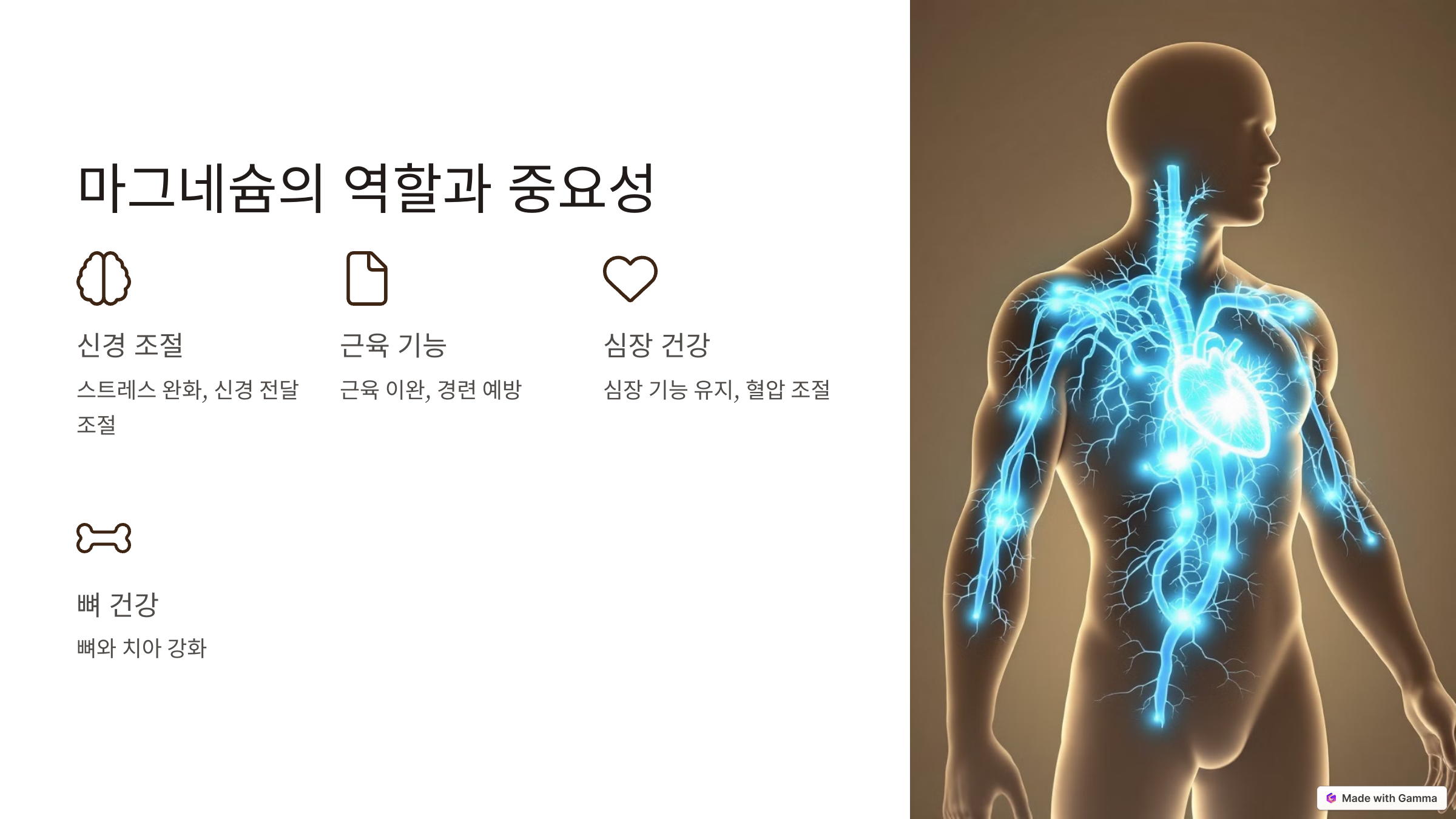 마그네슘 부족 증상과 보충 방법