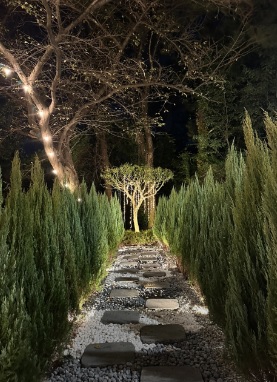 생생정보 고수의 부엌 부산 광안리 낙지볶음과 편백보쌈 맛집 부산 청산 1954 광안리 본점