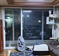 캣타워 꼭대기에 올라간 홍이 사진