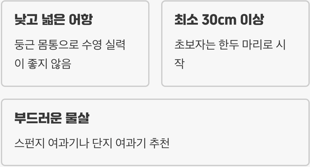 어항 선택 - '낮고 넓은' 집을 마련해주세요