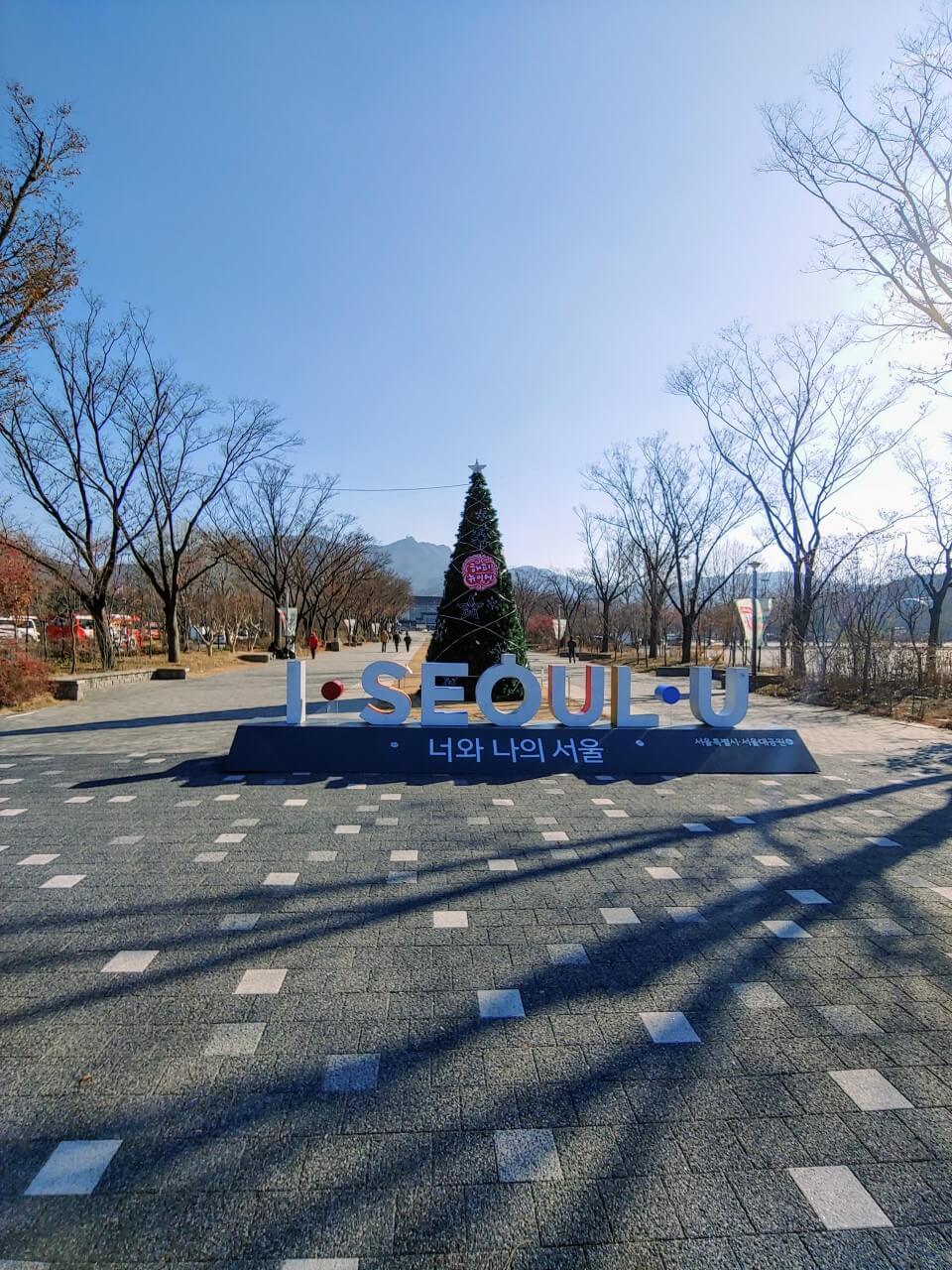 서울대공원 벚꽃 