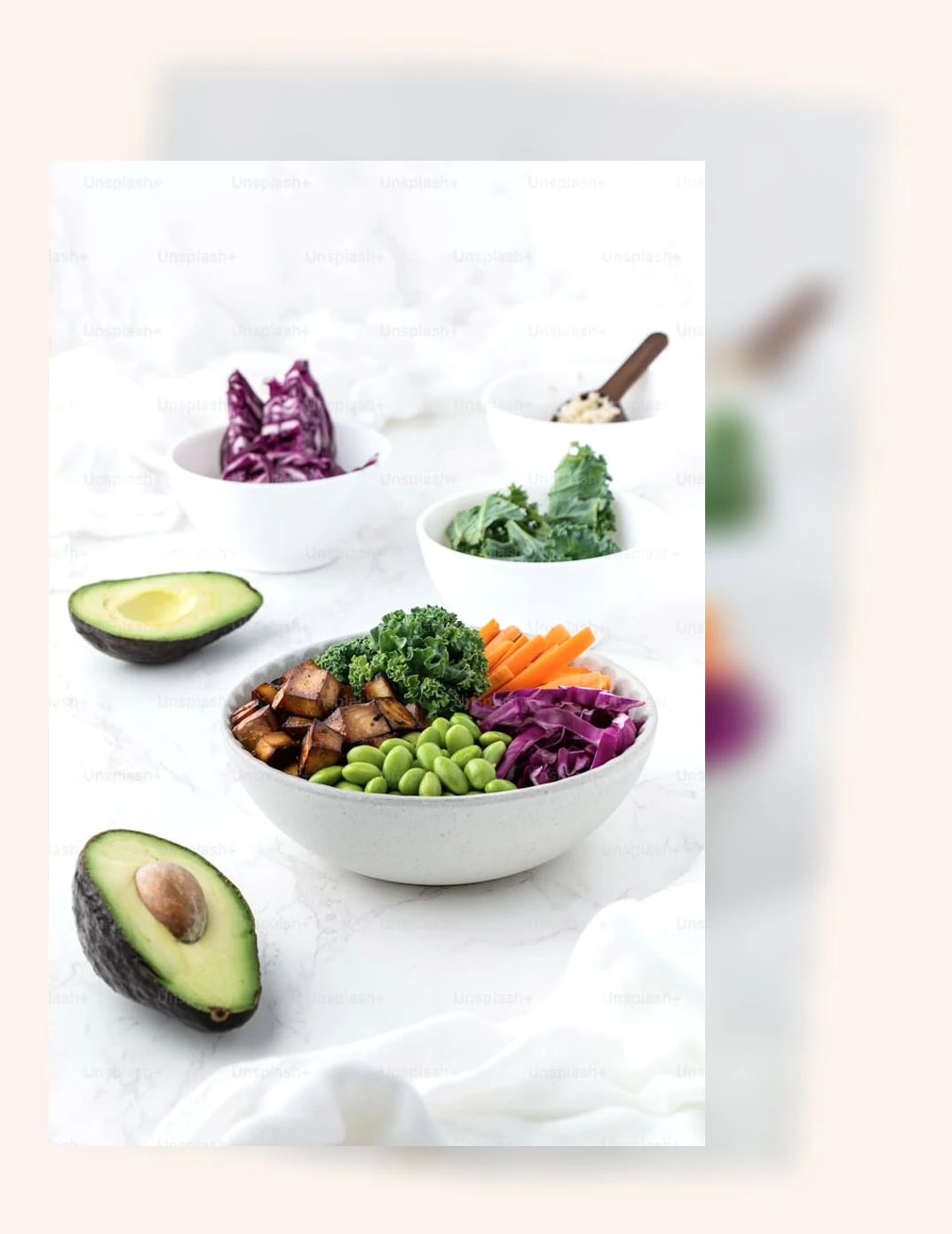 균형 잡힌 식단_1_subsection