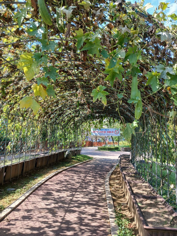 병목안 수세미 통로