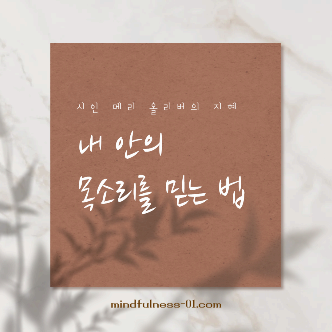 다른 사람의 기준이 나를 흔들 때, 내 안의 목소리를 믿는 법