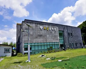 문광저수지 은행나무길_25