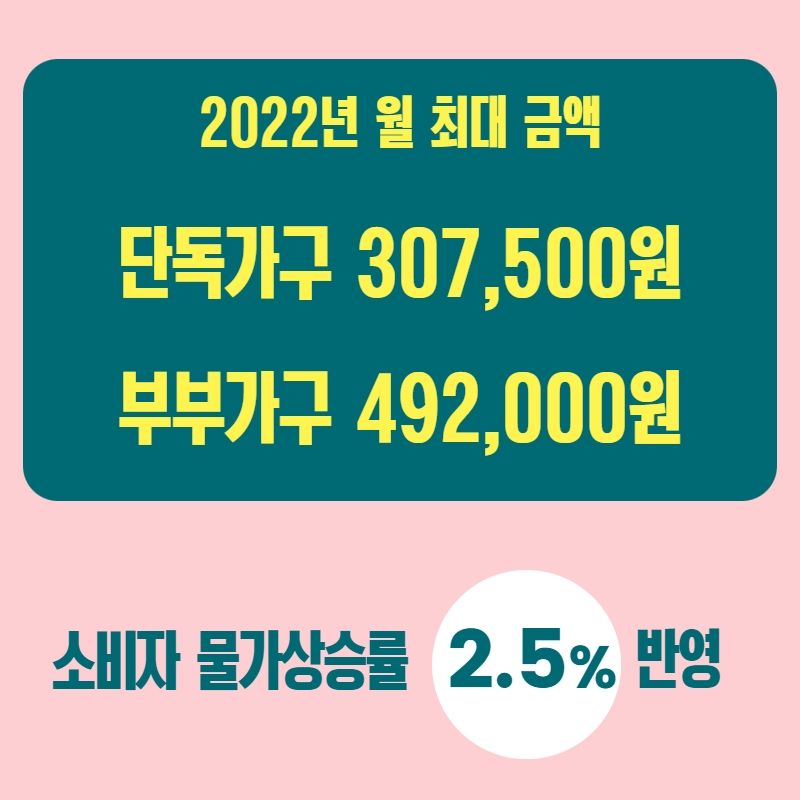기초연금 수급자격 40만원 오해와 진실14
