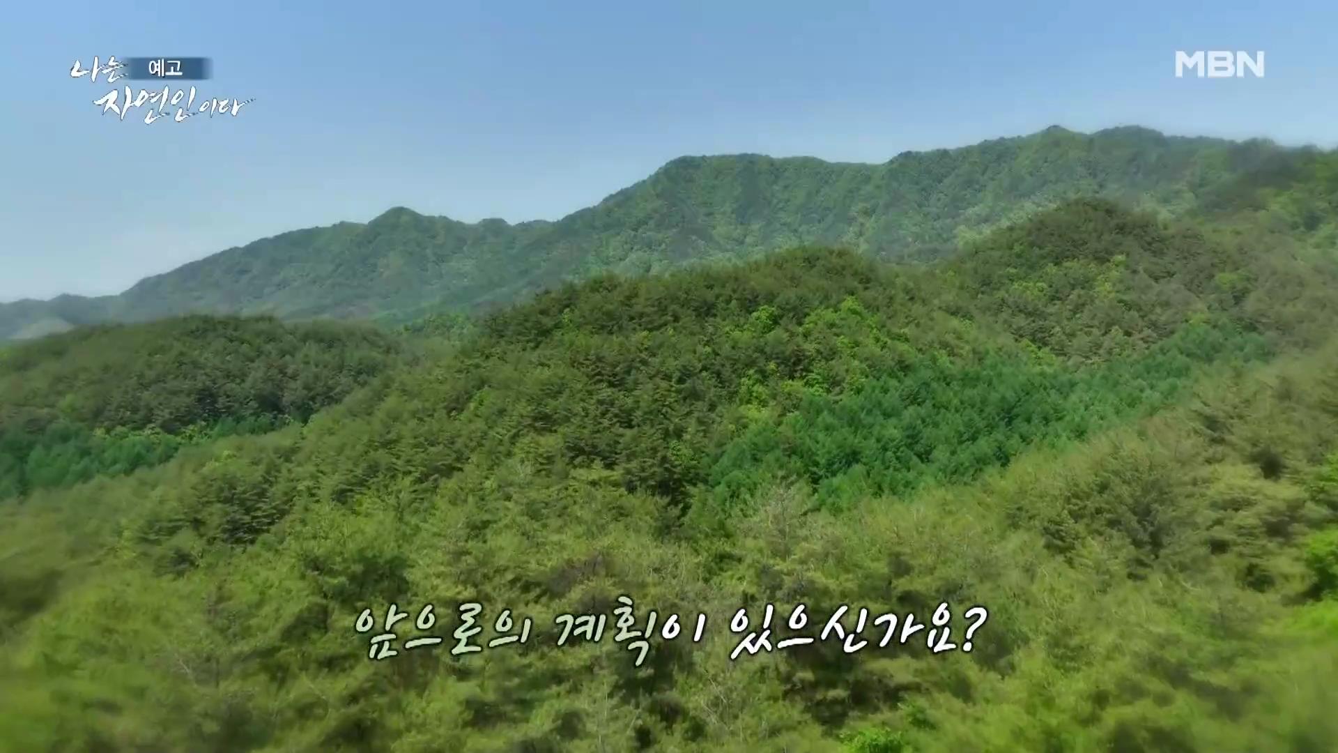 나는 자연인이다 남편 뇌출혈 병간호 산골 의녀 윤장금 마운틴 허니 치킨 당신과 함께였다면 자연인 윤부연 소개 및 윤택 출연 555회 다시보기