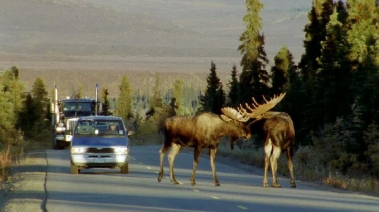 지록위마 뜻&amp;#44; 指鹿爲馬 유래 3