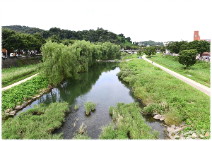 떼구르르 솔방울숲