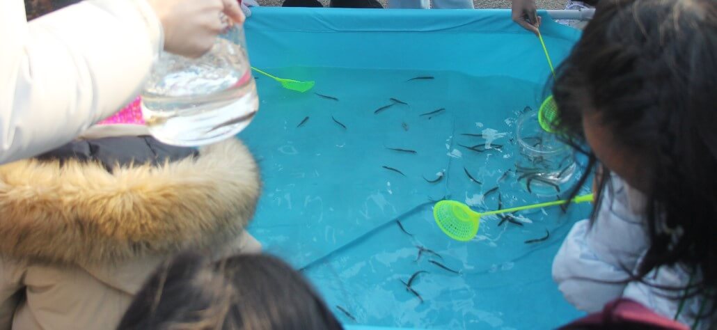 빙어대잔치, 강화신선지 빙어대잔치 축제가 진행중입니다. 신선이 저수지 옆 바위탕에서 목욕을 했다고 해서 신선지라 불리게 되었으며 면적 9,000평으로 그리 넓지는 않지만 최고의 전망을 자랑합니다.