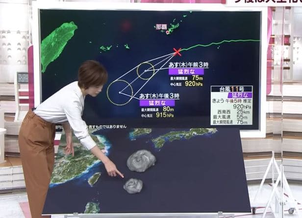 찬사 쏟아진 일본 기상현황 전달 방식