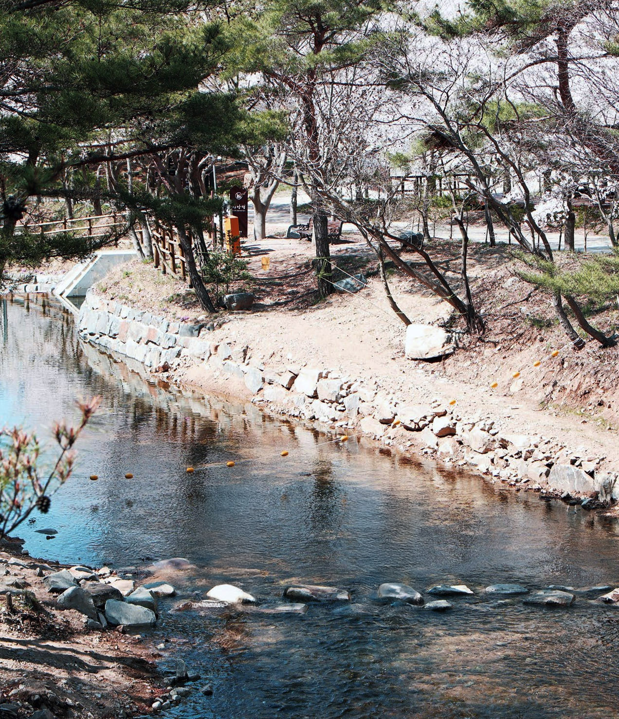 국립용현자연휴양림