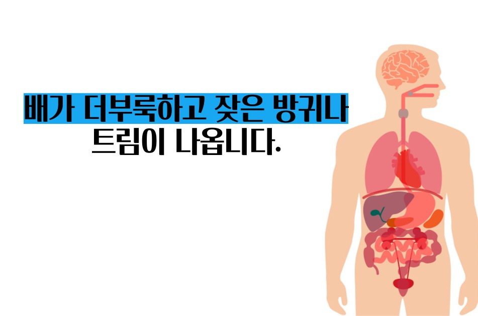 과민성 대장증후군 증상