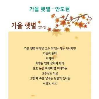 가을 시 모음 5편 추천 선별_12
