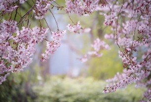 화담숲 예약 10