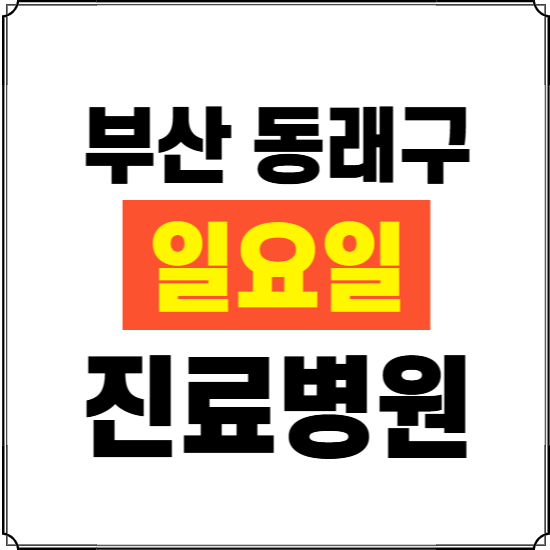 부산 동래구 일요일 진료병원 찾기 ❘ 24시 휴일 주말 응급 야간 심야 문여는 병원